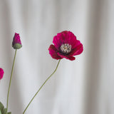 Mohnblume - Vintage Bordeaux