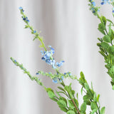 Salvia Blume - Blau