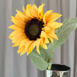 Großer Sonnenblumen-Mix - Warmes Gelb