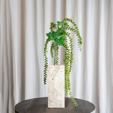 Amaranthus Caudatus Blume - Grün