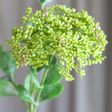 3 Zweige Sedum Beerenblüten, grün