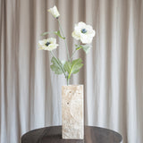 Anemonenblüte - Weiß