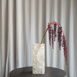 Amaranthus Sukkulente - Rot