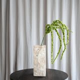 Amaranthus-Blume