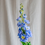 Delphinium Blume - Lila
