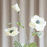 Anemonenblüte - Weiß