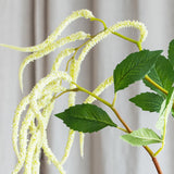 Amaranthus 2 Zweige Laub - Weiß