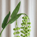 Amaranthus "Liebesträne" Blume