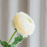 Ranunkelblüte