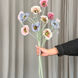 Pastel Poppy Mix