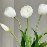 Luxuriöser Tulpenstrauß - Weiß