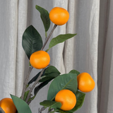 Mandarinenzweig