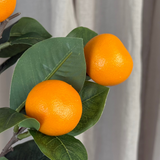 Mandarinenzweig