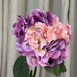 Vintage-Großhortensie – Mauve