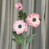 Anemonenblüte - Rosa