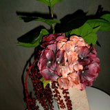Beeren-Rouge