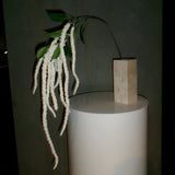 Amaranthus Foliage Flower, White