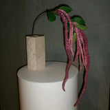 Amaranthus Foliage Flower - Bordeaux