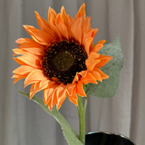 Large Sunflower Mix - Burnt Orange
