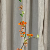 Schneeweidenzweig - Orange