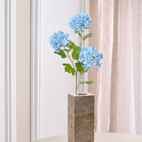 3-köpfige Hortensie "Snowball"