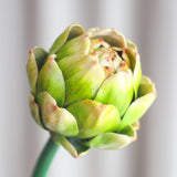 Artichoke Berry Flower