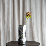 Scabiosa Flower, Brown