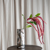 Amaranthus Laubblume - Bordeaux