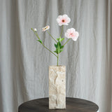 Butterfly Ranunculus - Light Pink