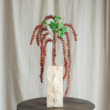Amaranthus Caudatus Flower - Bordeaux