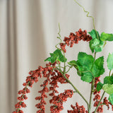 Amaranthus Caudatus Flower - Bordeaux