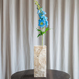 Delphinium Flower - Blue