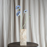 Opium Poppy - Light Blue