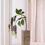 Amaranthus-Beerenzweig – Bordeaux