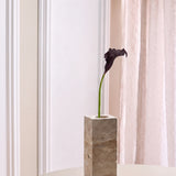 Calla-Lilienblüte - Burgunderrot