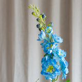 Delphinium Flower - Blue