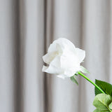 Long Stem Rose - White
