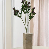 Distelblume – Bordeaux