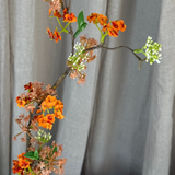 Schneeweidenzweig - Orange