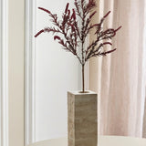 Wildgras Persicaria Grünzeug Salbei - Bordeaux