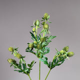 Distel Stiel - Grün