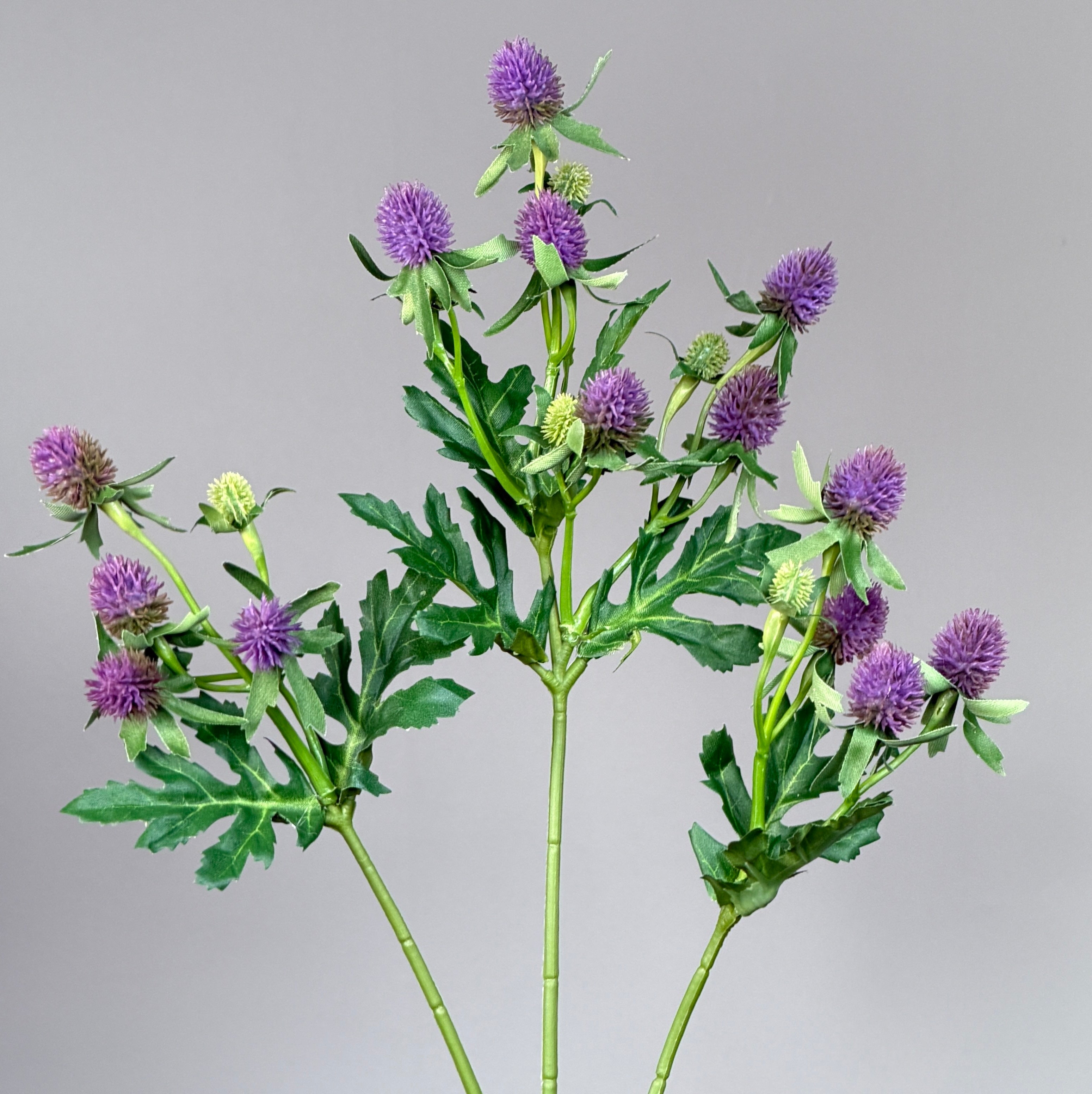 Distel Stiel - Lila