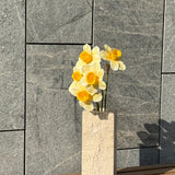 Großer Narzissenstrauß