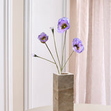 Schlafmohn - Lavendel