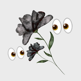 Secret Vorbau in limitierter Auflage