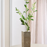 Blätter mit grünen Beeren