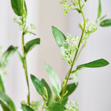 Blätter mit grünen Beeren