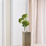 3 Zweige Sedum Beerenblüten, grün