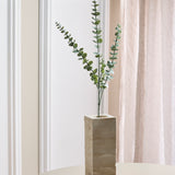 Eukalyptusblätter "Silver Dollar“