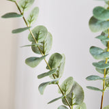 Eukalyptusblätter - Staubgrün